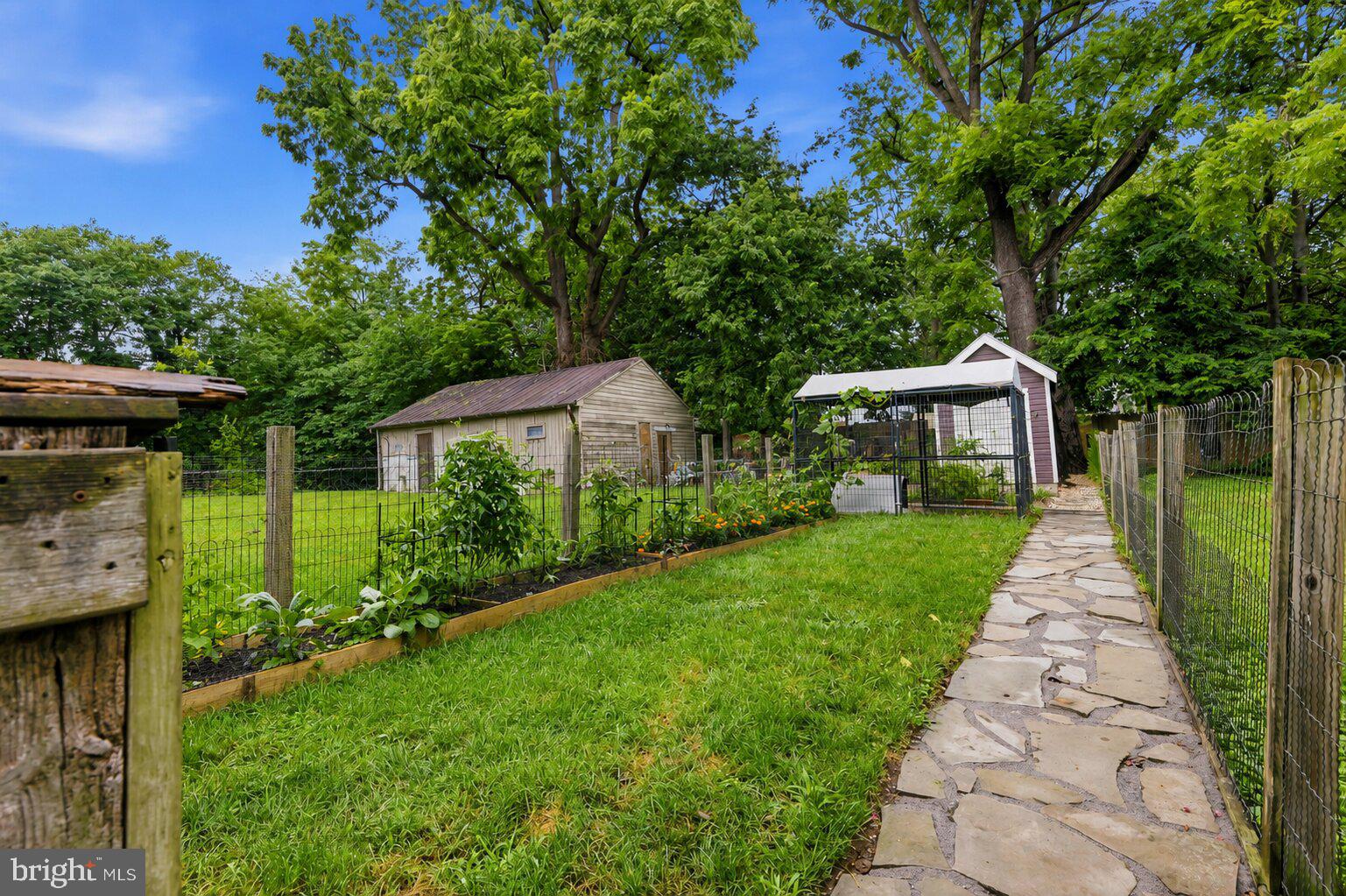 117 East 5th Street Frederick, MD 21701 - Photo 36 of 53 Recently sodded grass
and designed landscaping