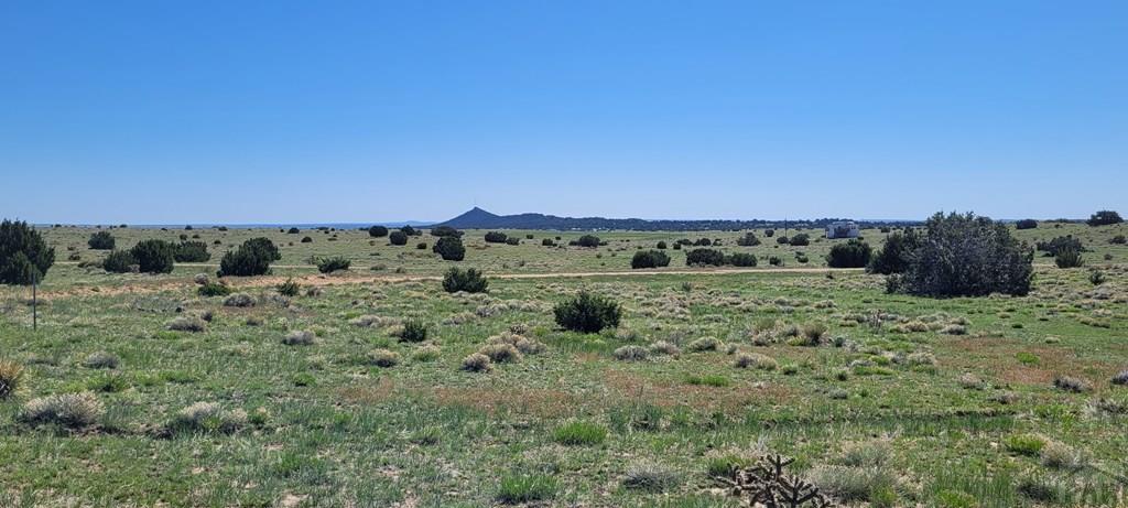 97 Rio Cucharas Walsenburg, CO 81089 - Photo 3 of 8 Gallery Image 3