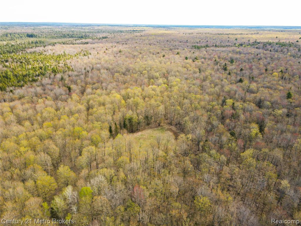 21821 Krenkel Road Newberry, MI 49868 - Photo 26 of 28