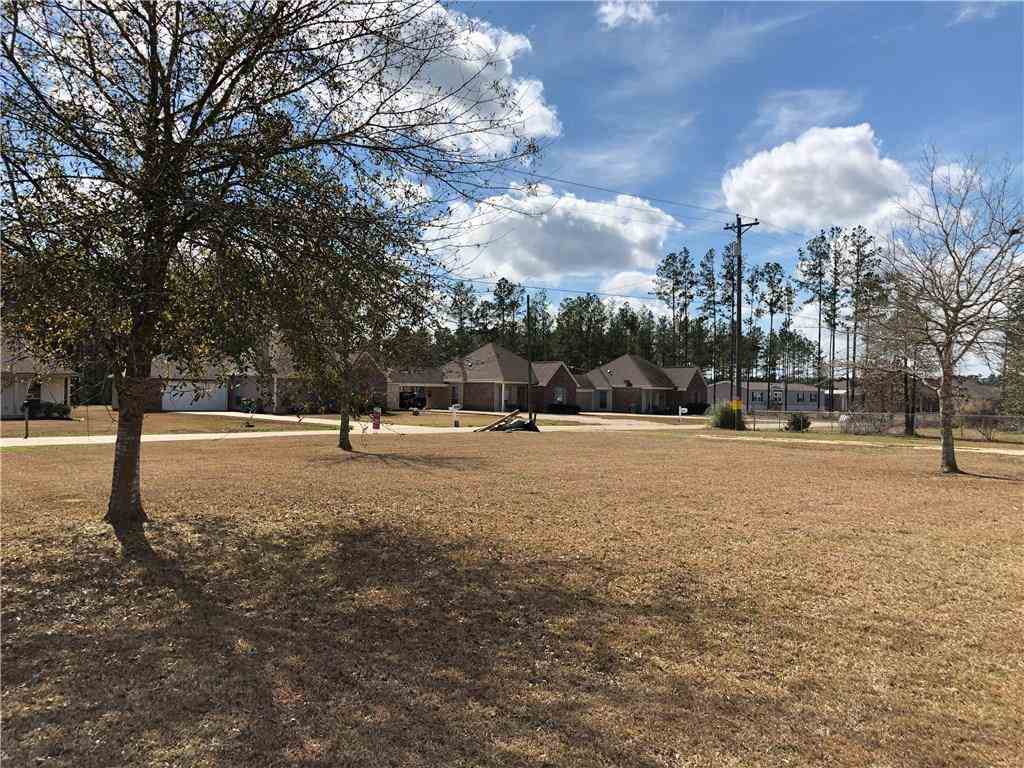28815 Wagner Road Albany, LA 70711 - Photo 13 of 13 Gallery Image 13