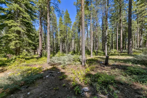 a view of outdoor space and garden