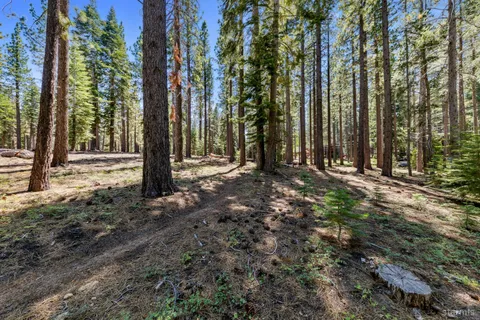 a view of outdoor space with trees