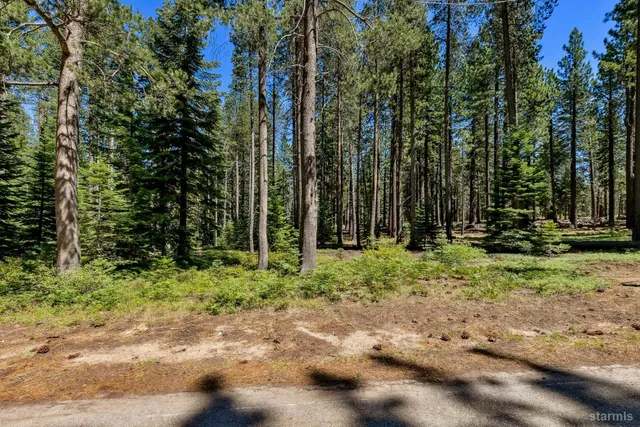 a view of backyard with green space