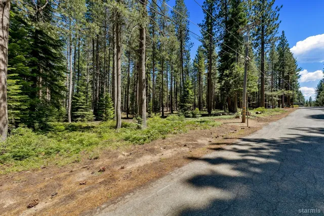 a view of a park with trees