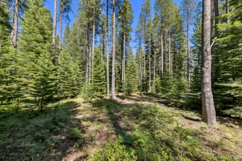 a view of backyard with green space