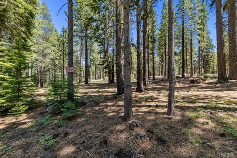 a view of a park with trees