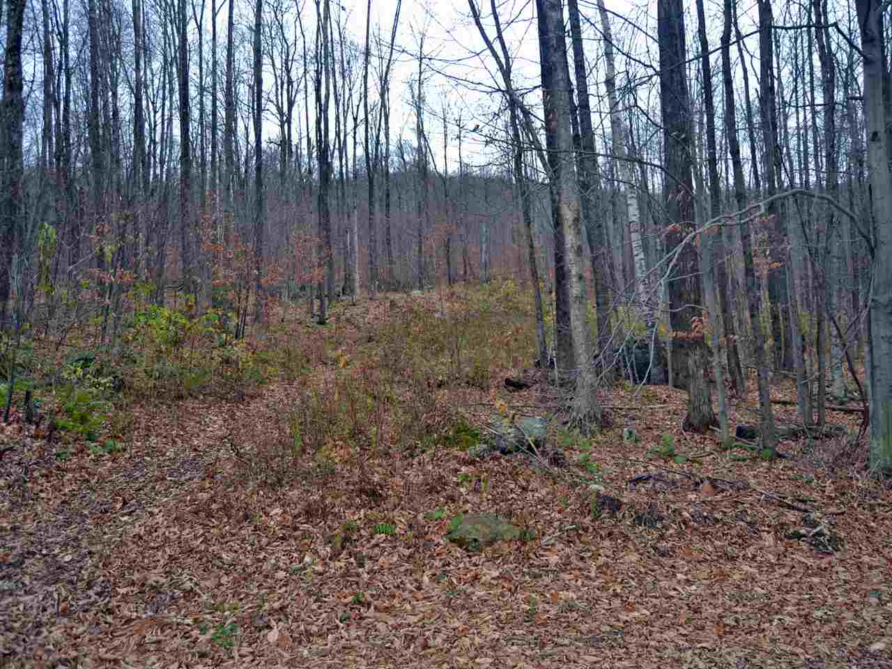Lot 4 Sugar Ledge Road Warren, VT 05674 - Photo 1 of 10 Gallery Image 1