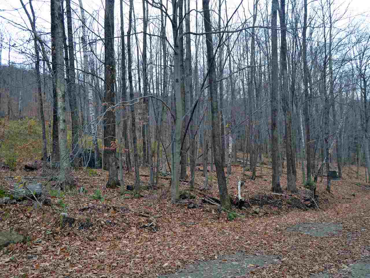 Lot 4 Sugar Ledge Road Warren, VT 05674 - Photo 3 of 10 Gallery Image 3