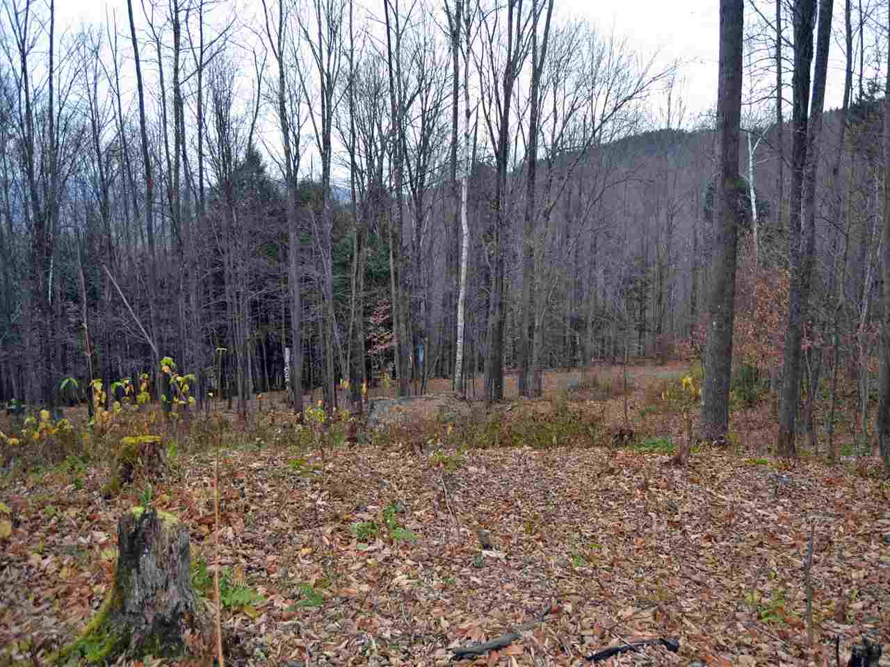 Lot 4 Sugar Ledge Road Warren, VT 05674 - Photo 4 of 10 Gallery Image 4