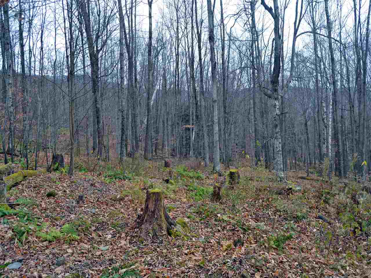 Lot 4 Sugar Ledge Road Warren, VT 05674 - Photo 5 of 10 Gallery Image 5