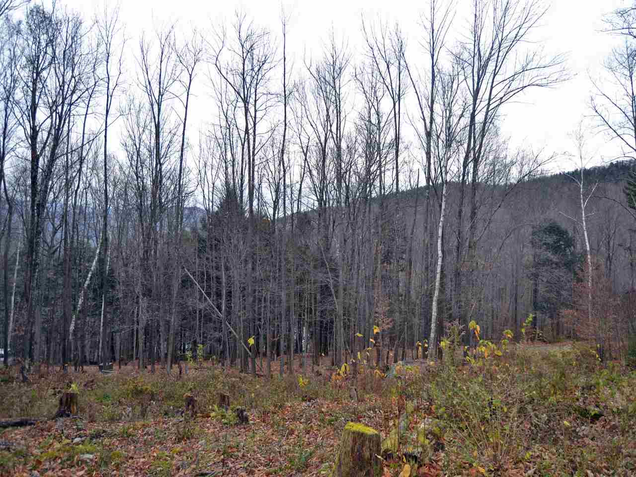 Lot 4 Sugar Ledge Road Warren, VT 05674 - Photo 6 of 10 Gallery Image 6