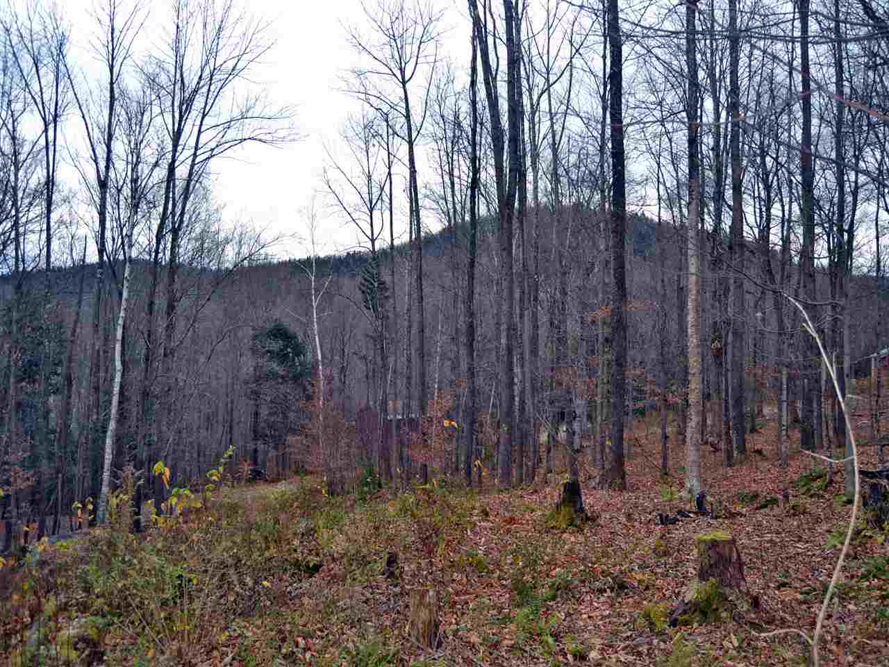 Lot 4 Sugar Ledge Road Warren, VT 05674 - Photo 7 of 10 Gallery Image 7