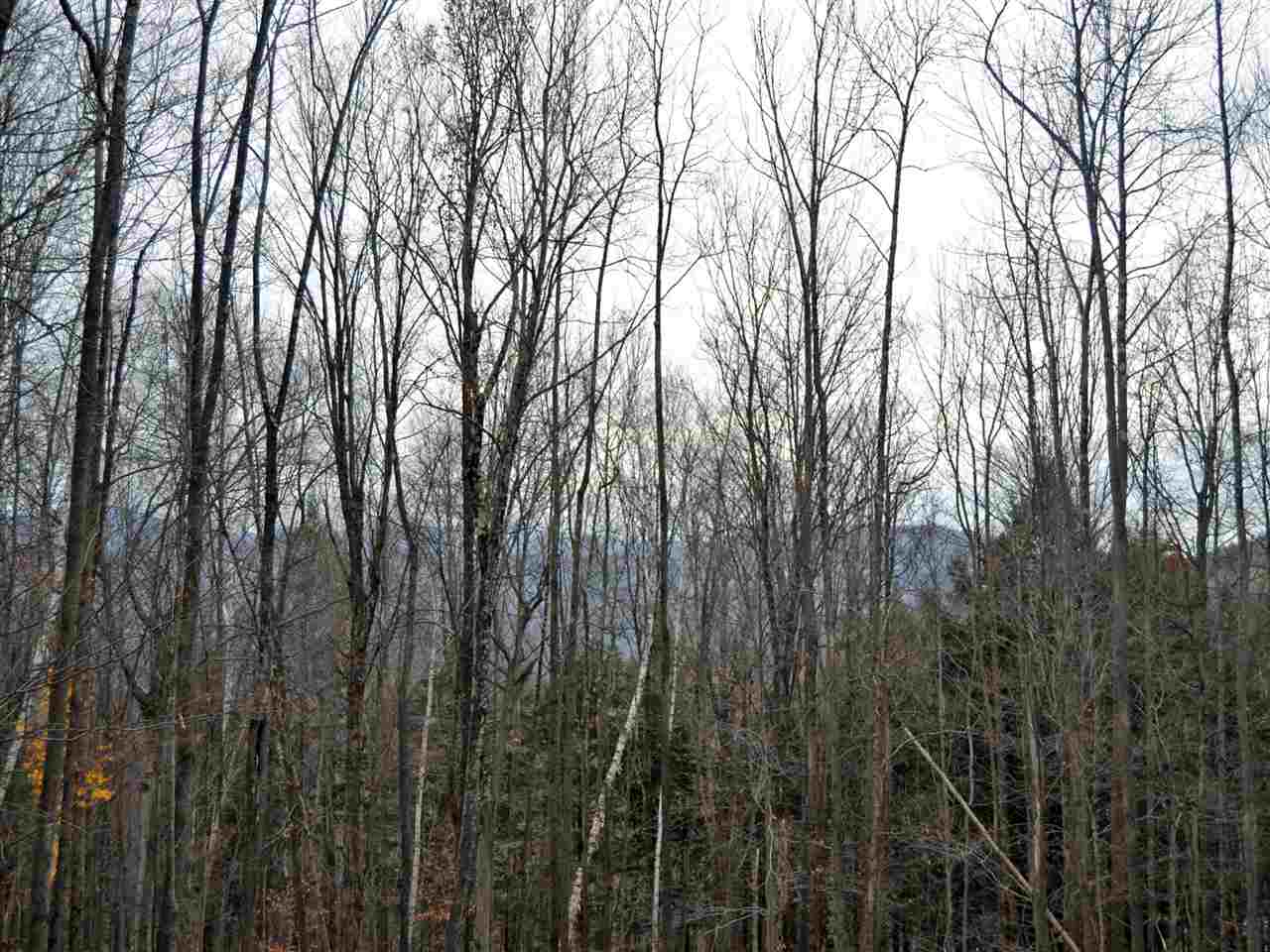 Lot 4 Sugar Ledge Road Warren, VT 05674 - Photo 8 of 10 Gallery Image 8