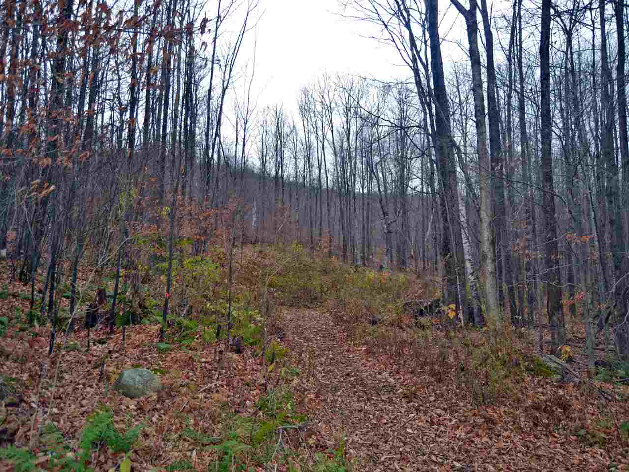 Lot 4 Sugar Ledge Road Warren, VT 05674 - Photo 9 of 10 Gallery Image 9