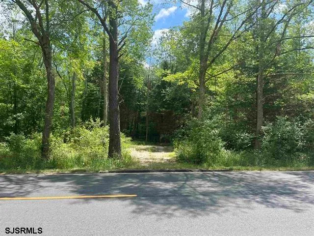 a view of street along with trees