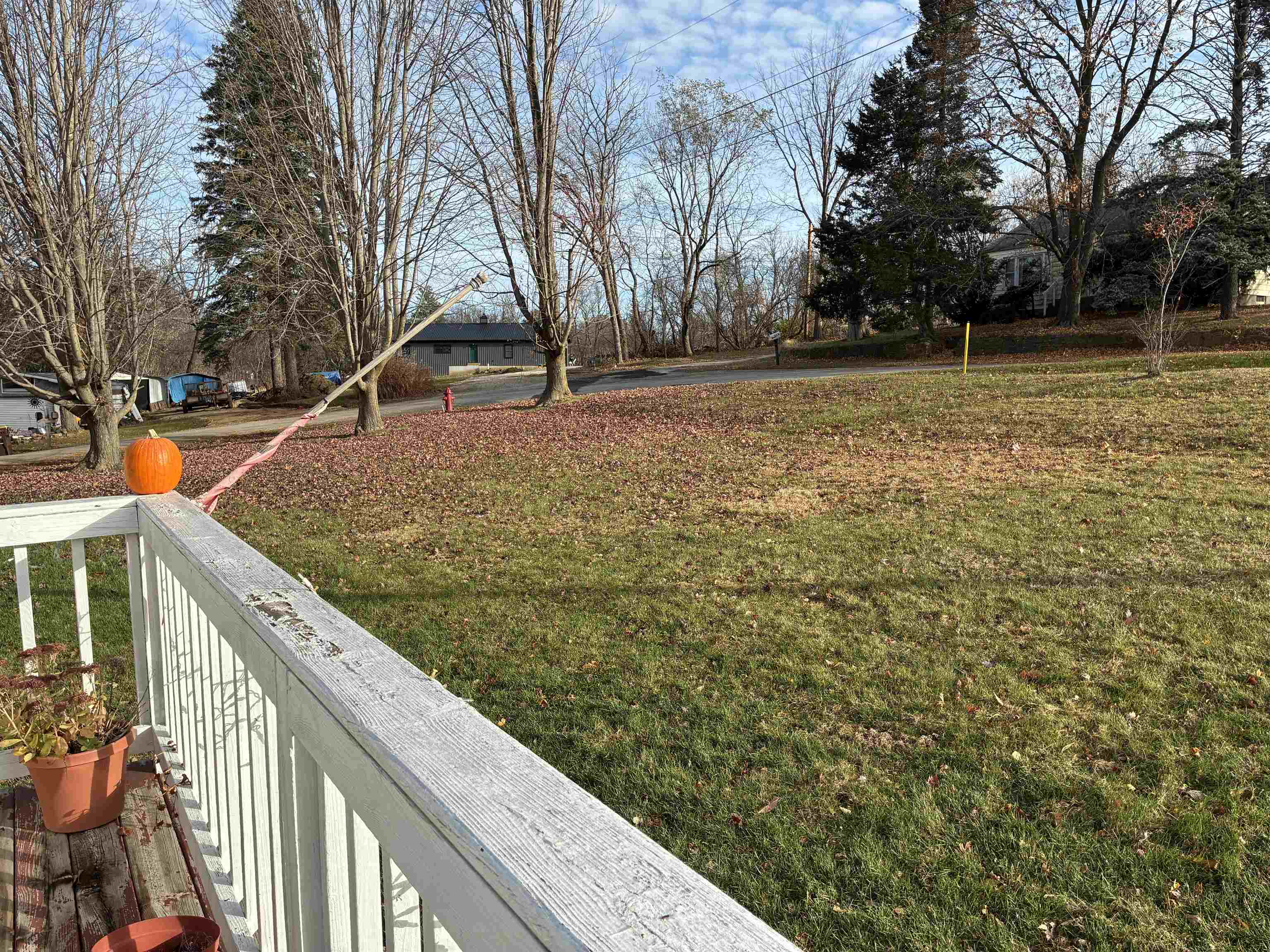 820 Dewhurst Street Mount Carroll, IL 61053 - Photo 4 of 45