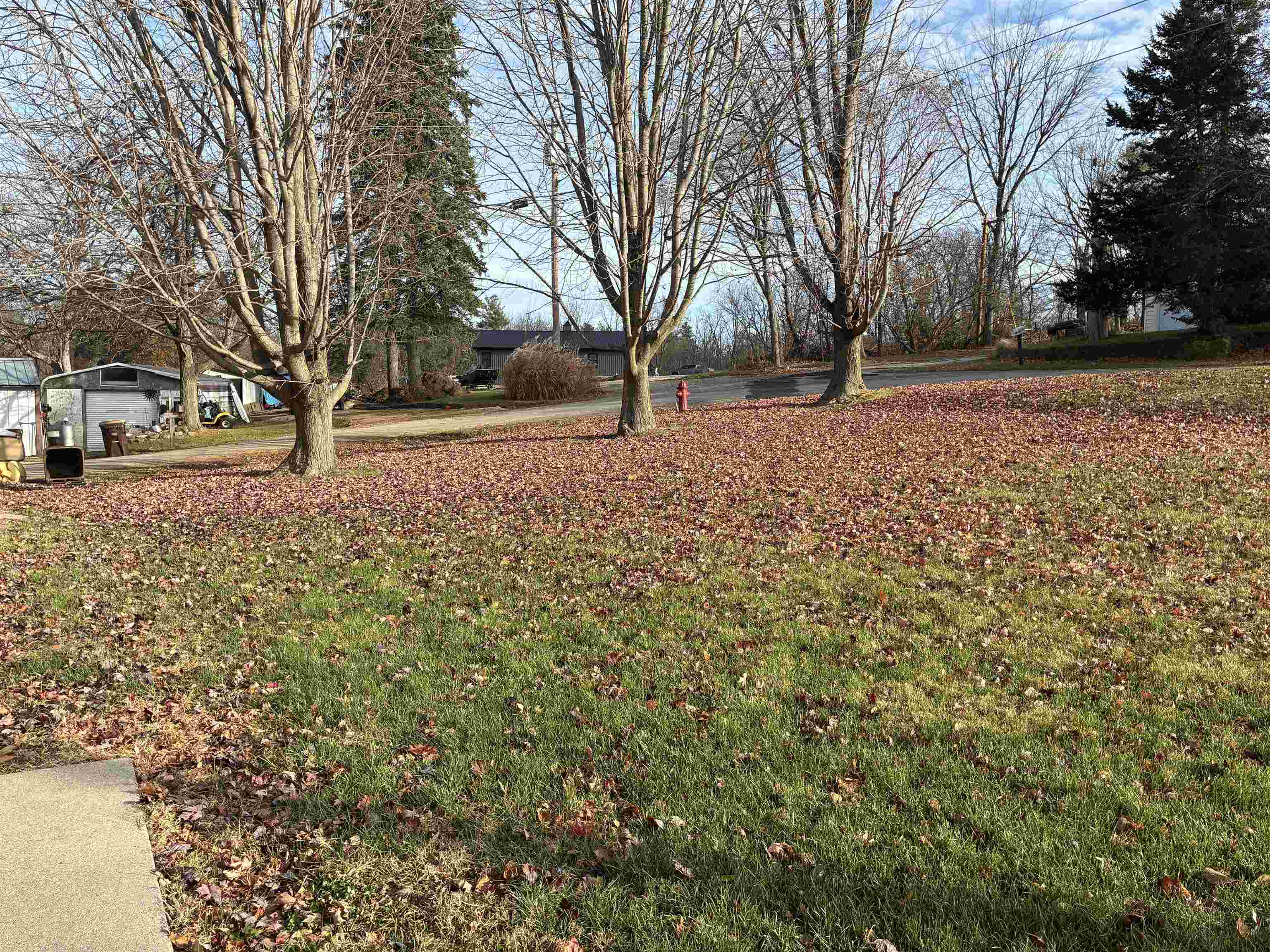 820 Dewhurst Street Mount Carroll, IL 61053 - Photo 5 of 45