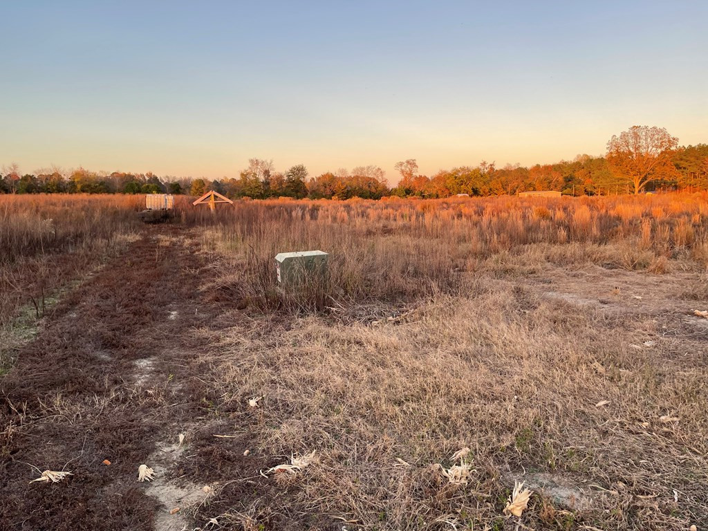 0 Westbury Mill Road Sumter, SC 29153 - Photo 3 of 10