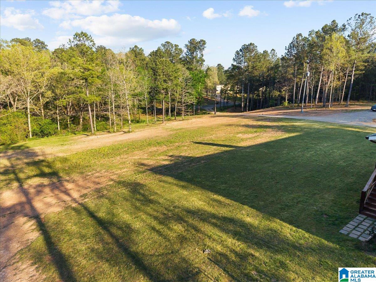 1009 Deaver Walker Road Trafford, AL 35172 - Photo 38 of 39