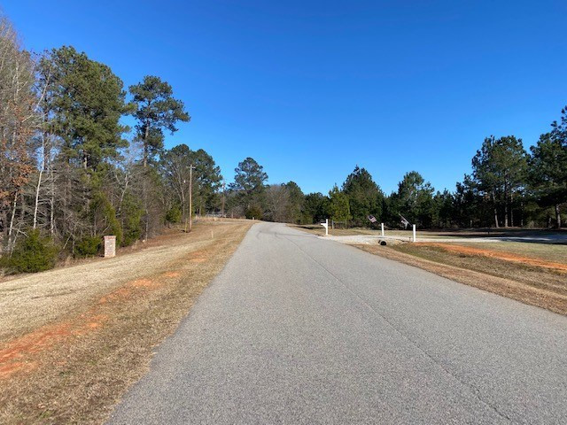 5535 Burks Mountain Road Appling, GA 30802 - Photo 3 of 3