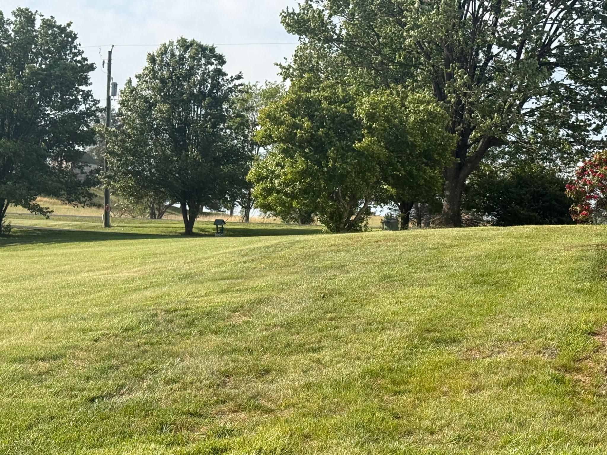 13420 Chestnut Fork Road Culpeper, VA 22701 - Photo 7 of 19