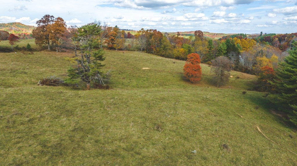 Lot 3 Ridgeview Road Floyd, VA 24091 - Photo 25 of 27 Gallery Image 25