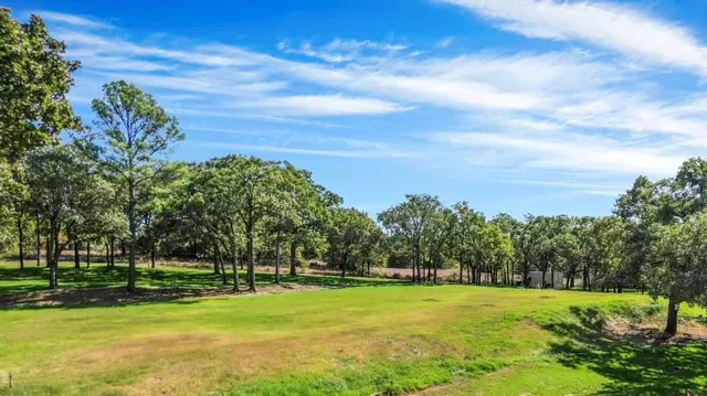 a view of a golf course with a trees