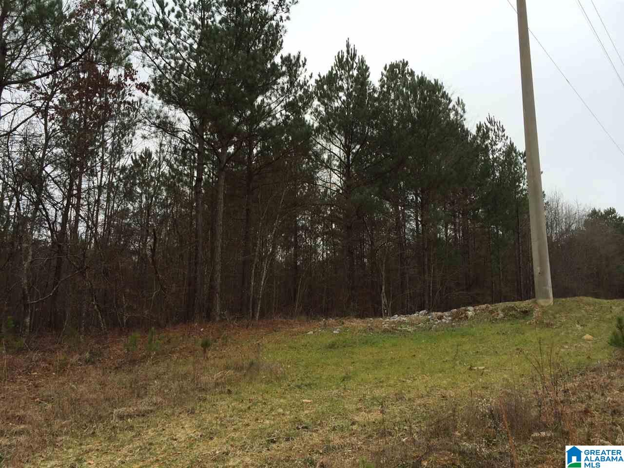 2469 Cherokee Road, Unit 40 ACRES Pell City, AL 35128 - Photo 2 of 9