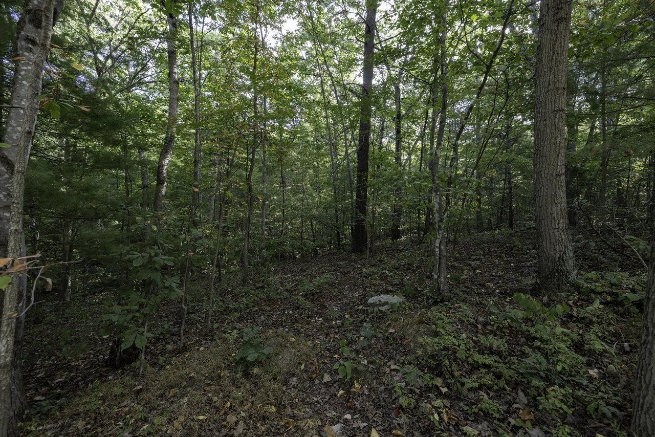 Lot D3 Holiday Hill Road Luray, VA 22835 - Photo 30 of 32