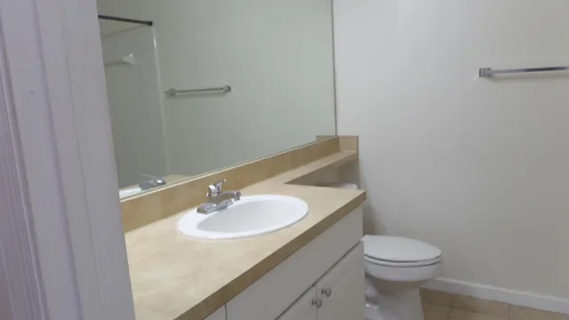 a bathroom with a sink and a toilet