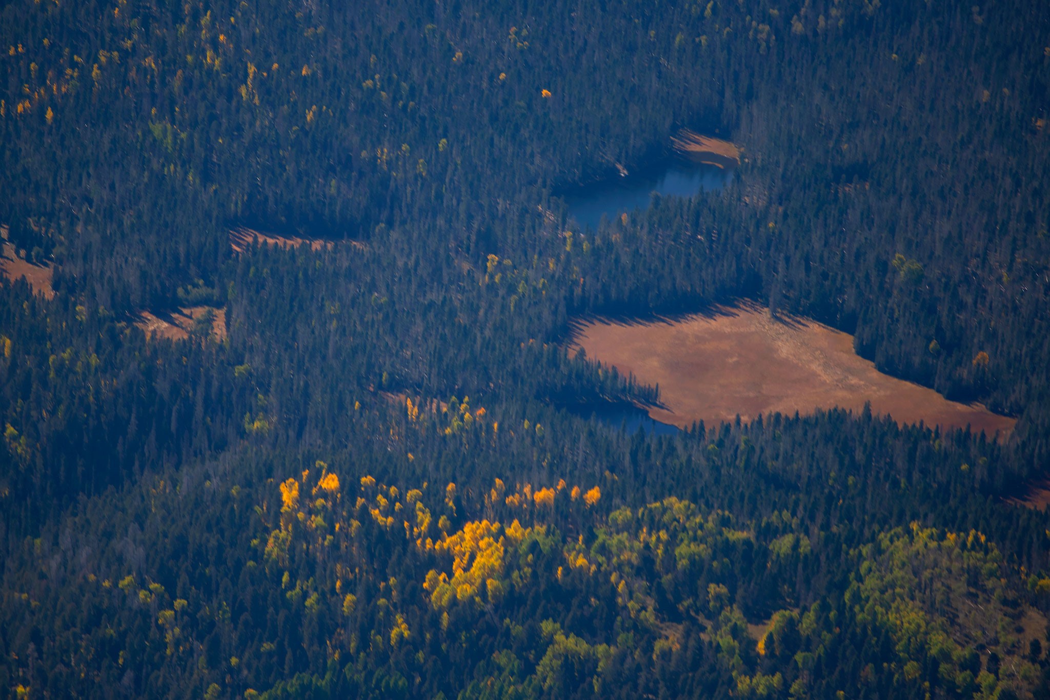 1 The Ranch Angel Fire, NM 87710 - Photo 12 of 67
