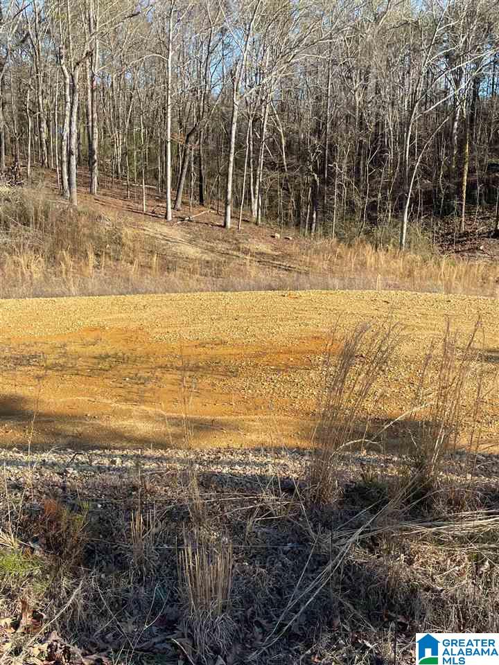 0 Post Oak Road, Unit 19 Anniston, AL 36206 - Photo 3 of 5