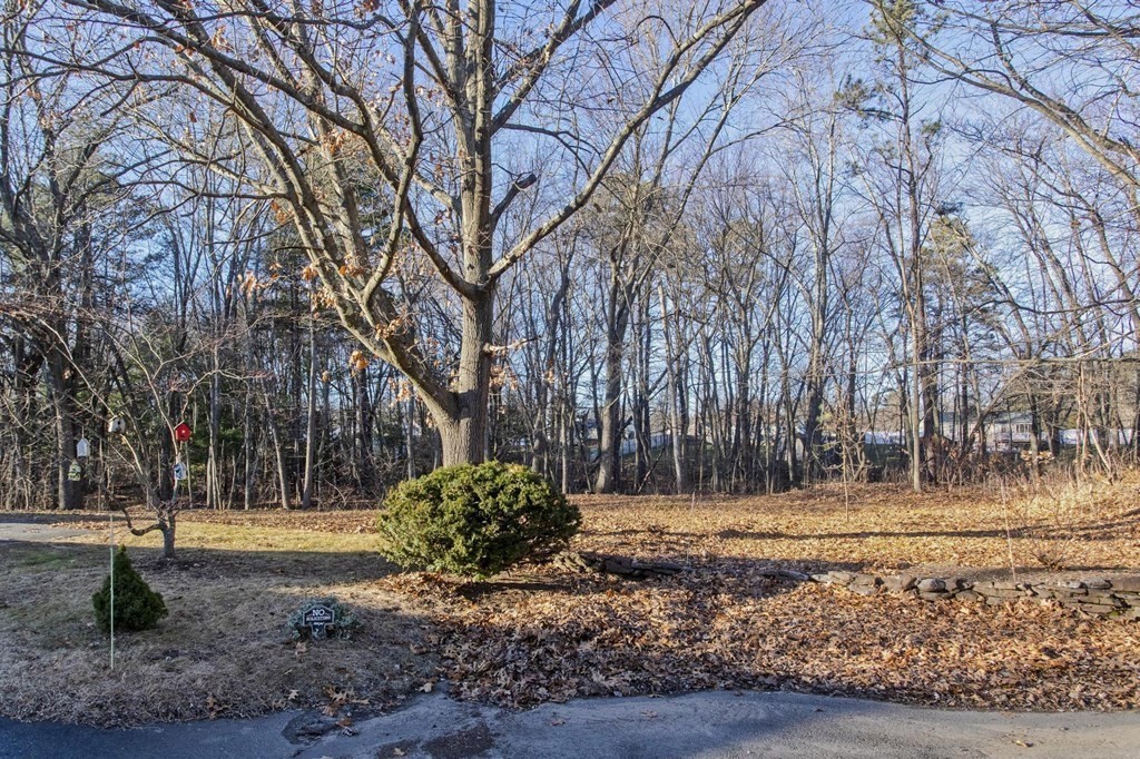 8 Timothy Circle Springfield, MA 01119 - Photo 13 of 42