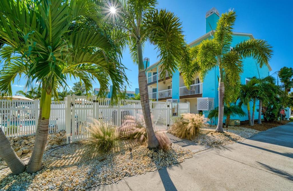 124 Marcdale Boulevard Indian Rocks Beach, FL 33785 - Photo 26 of 55 a view of a garden with a patio