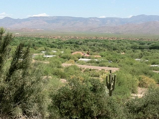 67 Saguaro Road Tonto Basin, AZ 85553 - Photo 1 of 8