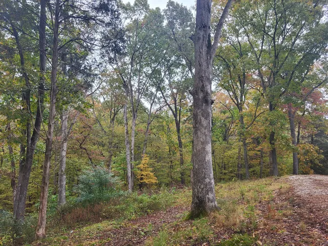 $95,000 | 60 White Oak Drive, Big Sandy, TN 38221