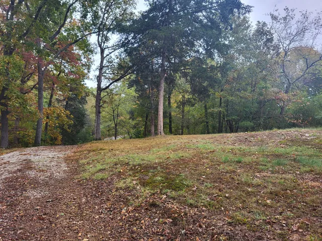 $95,000 | 60 White Oak Drive, Big Sandy, TN 38221