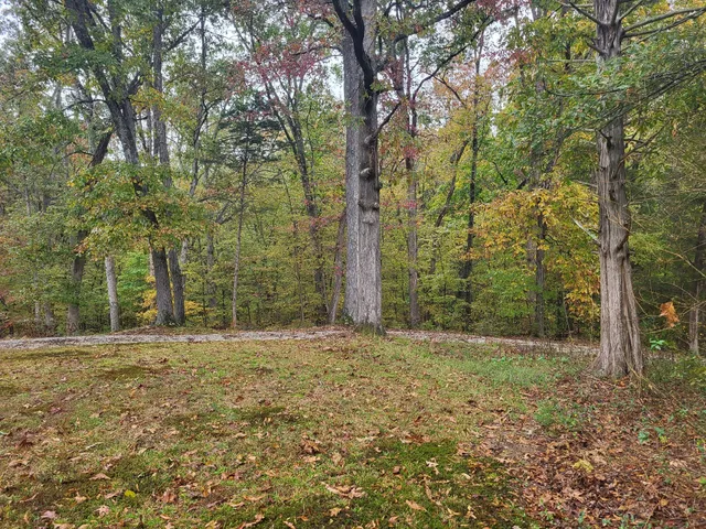 $95,000 | 60 White Oak Drive, Big Sandy, TN 38221