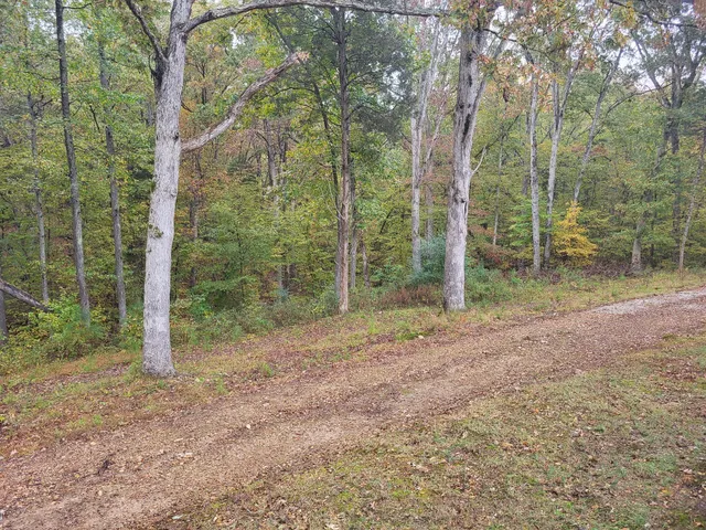 $95,000 | 60 White Oak Drive, Big Sandy, TN 38221