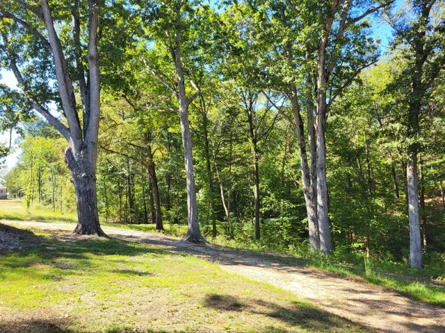 $95,000 | 60 White Oak Drive, Big Sandy, TN 38221