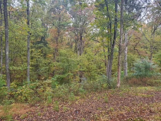 $95,000 | 60 White Oak Drive, Big Sandy, TN 38221