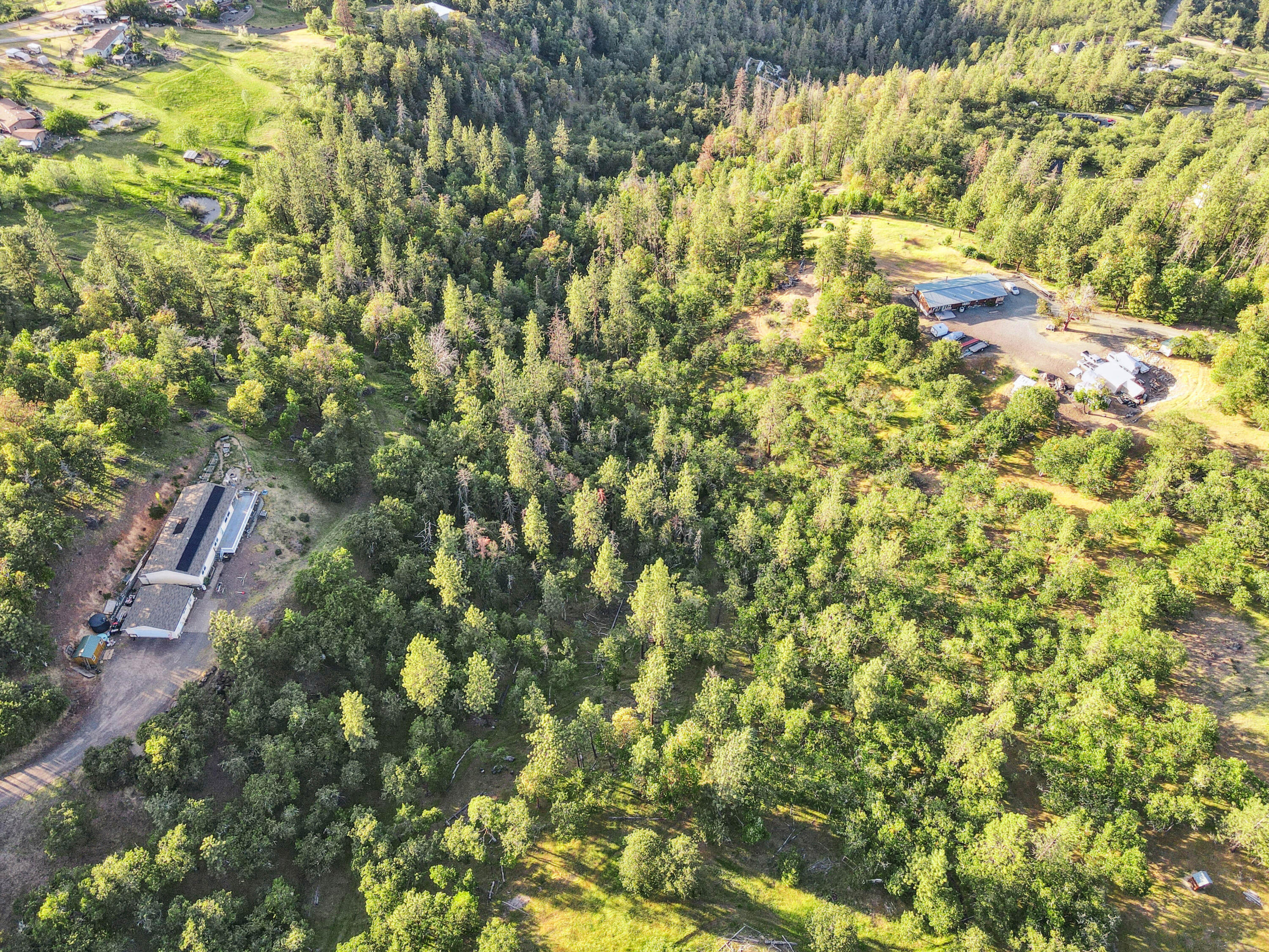 448 Wren Ridge Drive Eagle Point, OR 97524 - Photo 45 of 45 a view of a yard with a tree