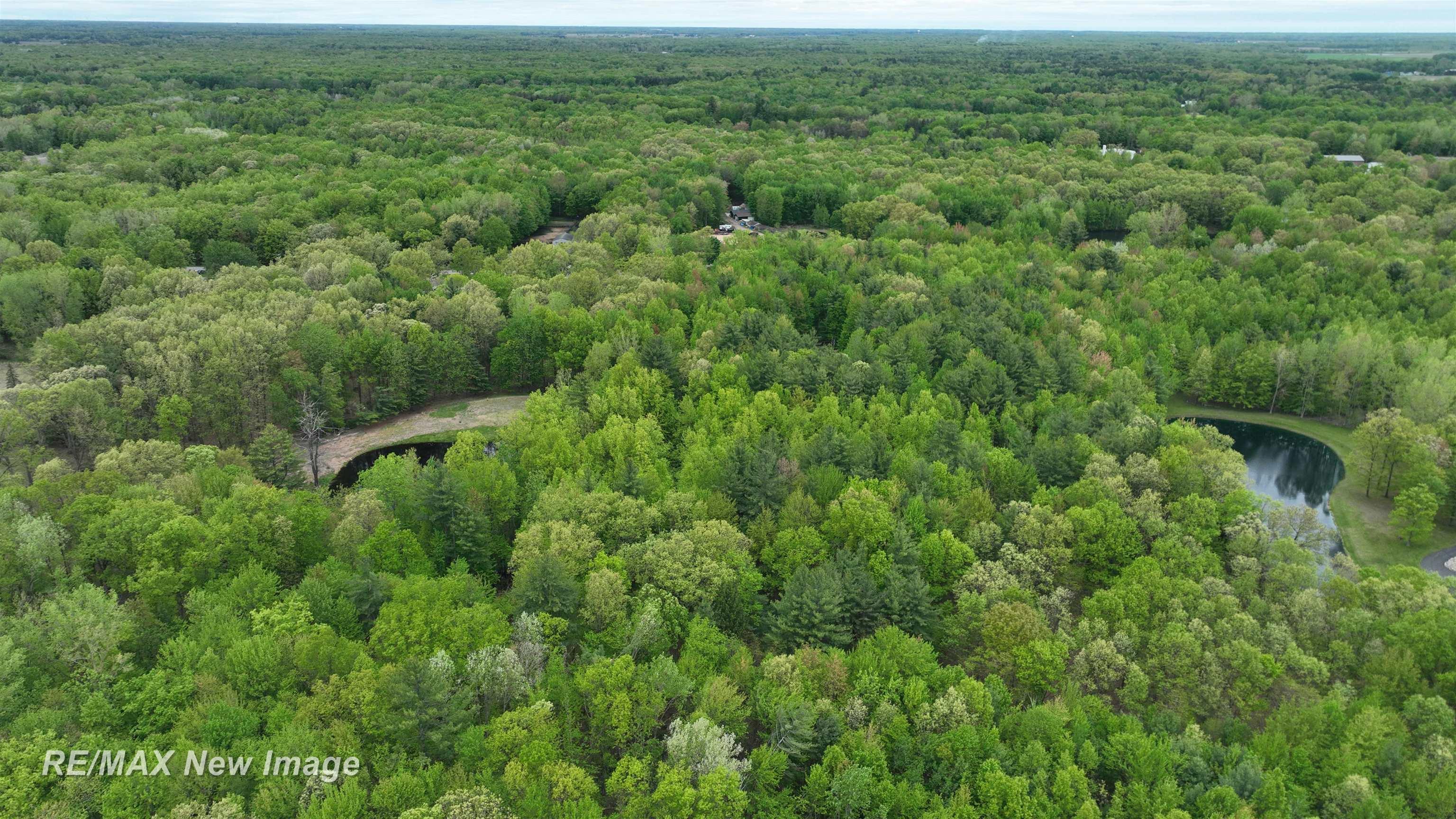 12000 West Townline Road St. Charles, MI 48655 - Photo 8 of 10