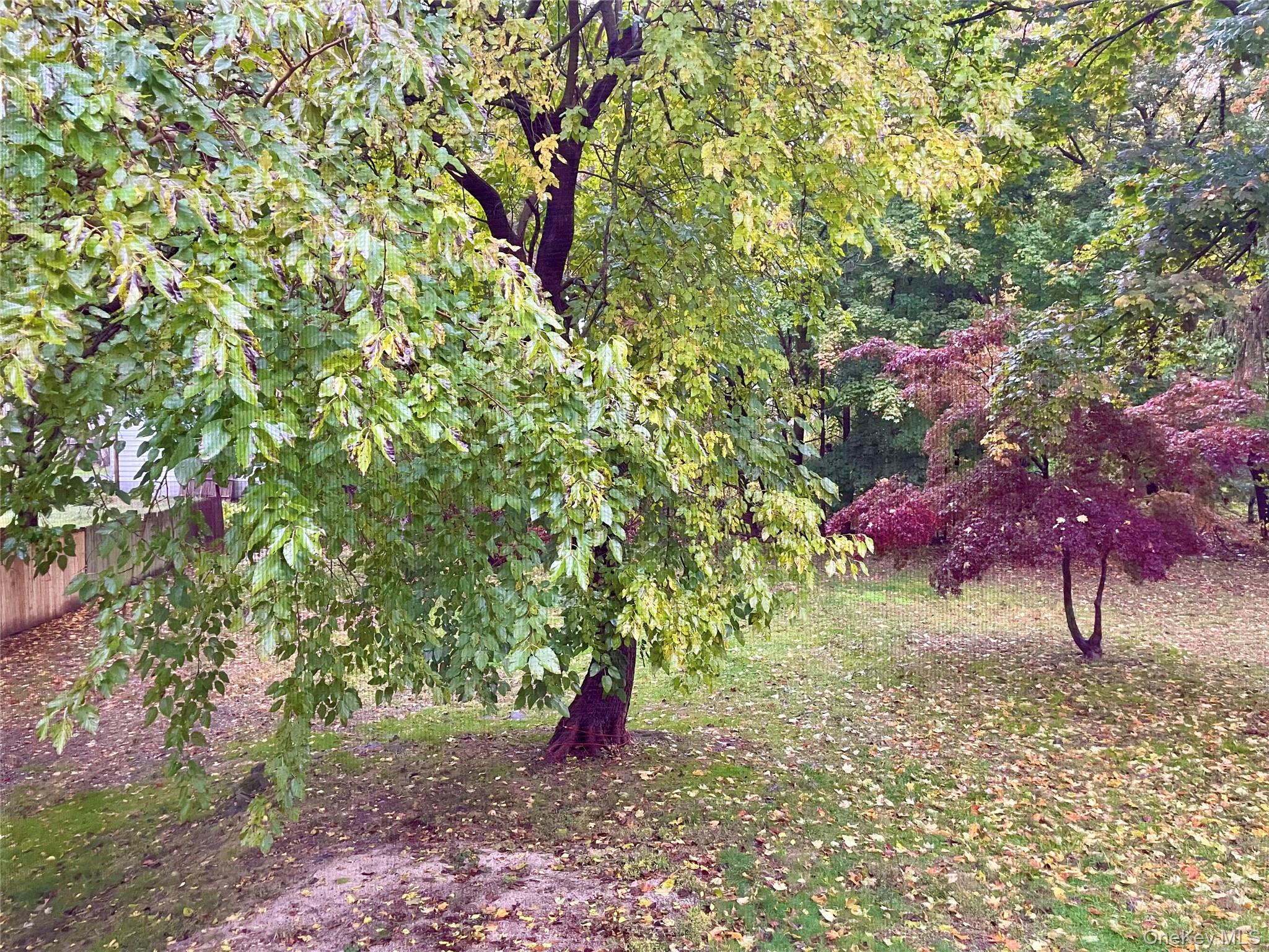 90 Innis Avenue Poughkeepsie, NY 12601 - Photo 10 of 10