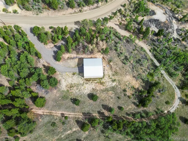 a view of a yard with plants and tree