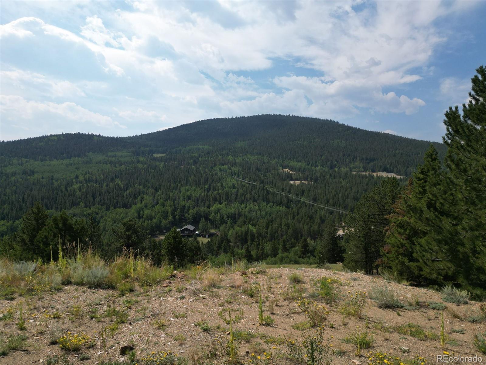 6660 Virginia Canyon Road Central City, CO 80427 - Photo 21 of 31 a view of a dry yard with trees