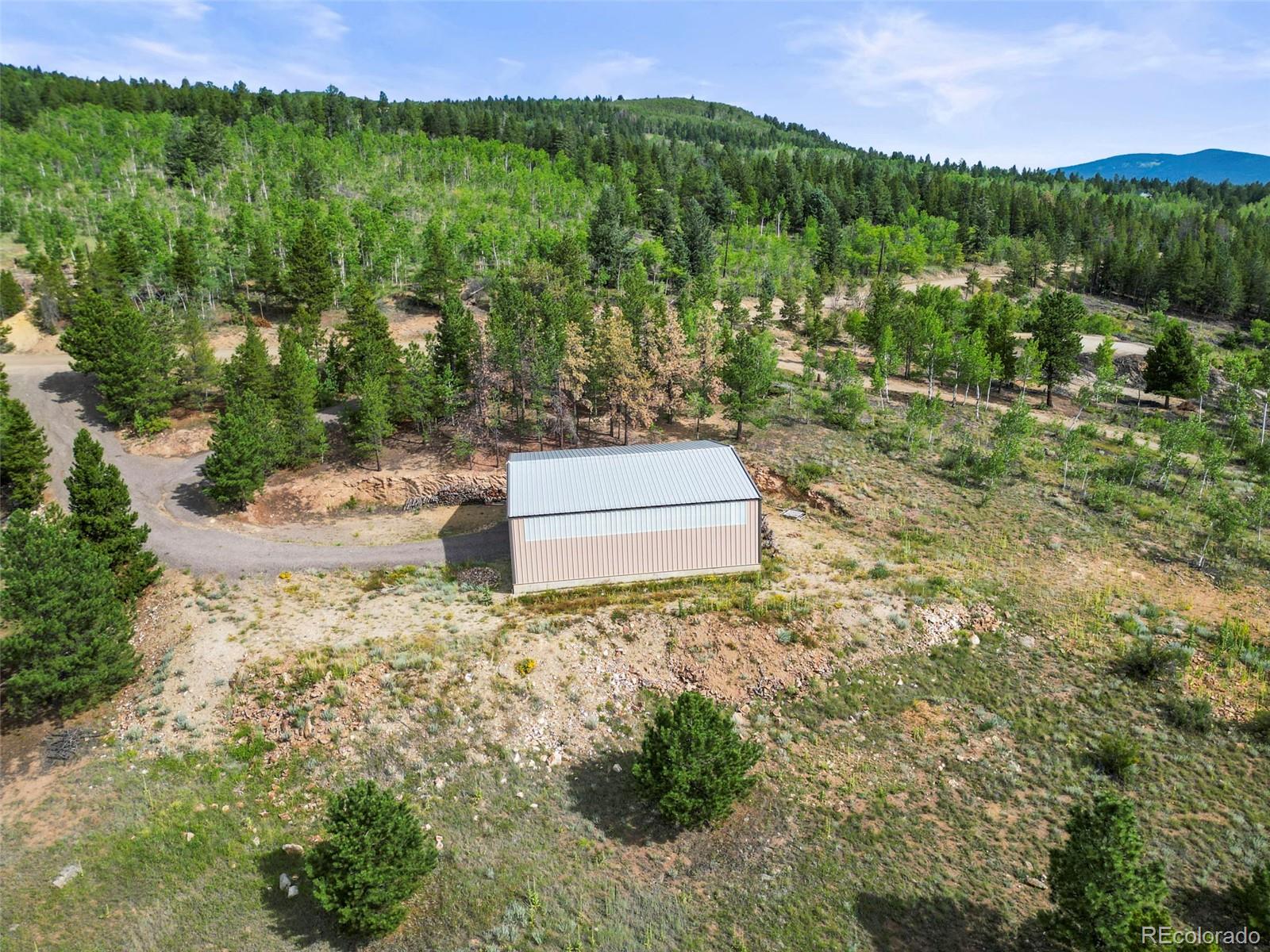 6660 Virginia Canyon Road Central City, CO 80427 - Photo 6 of 31 a view of a yard with plants and large trees