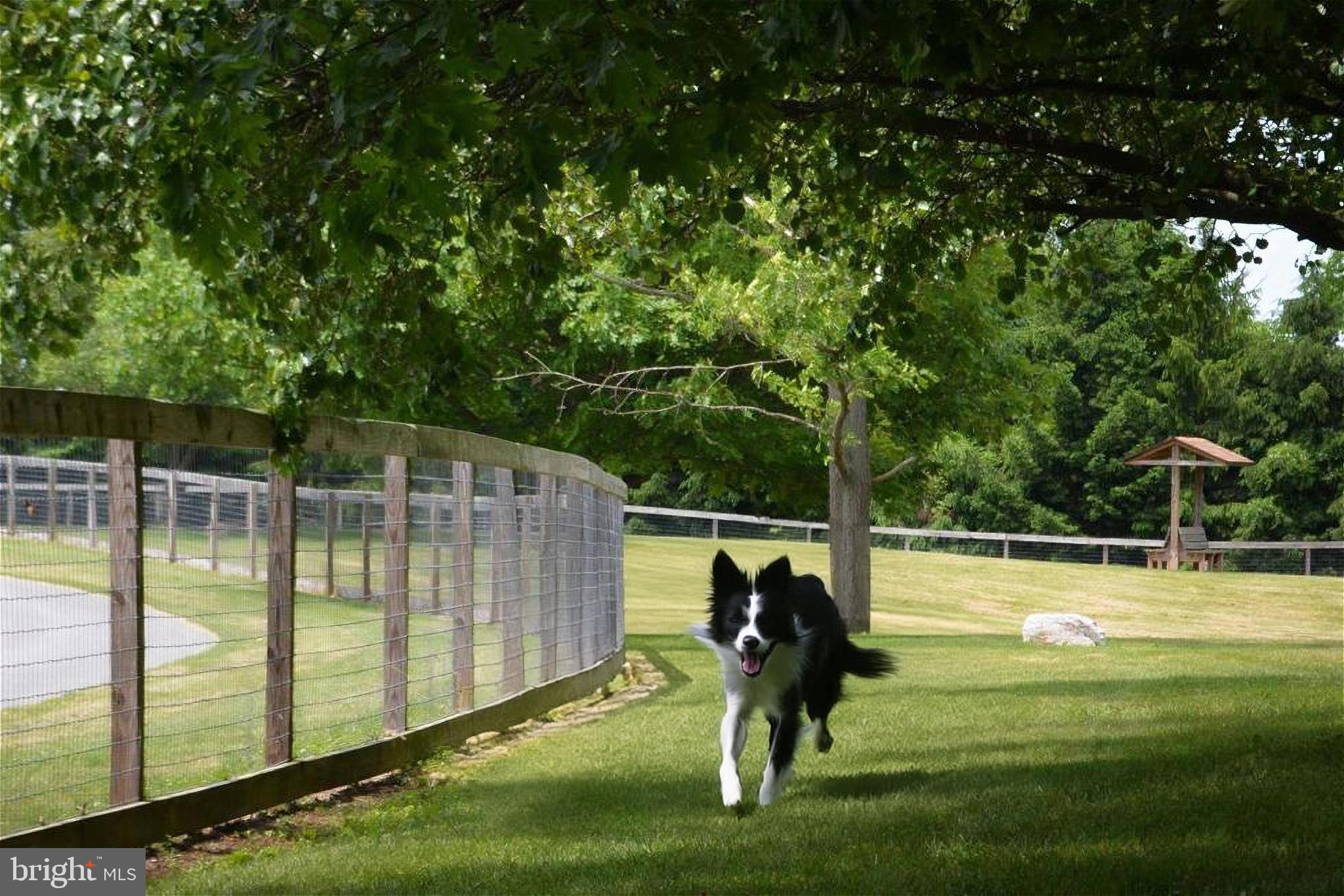 520 Dellinger Road Mount Wolf, PA 17347 - Photo 60 of 61 Nearby Dog Park