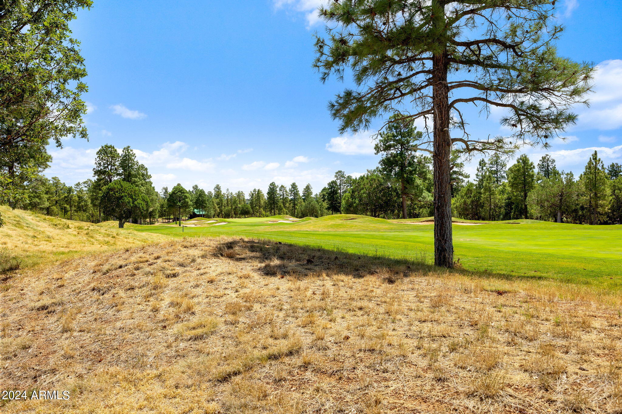 101 South Falling Leaf Road Show Low, AZ 85901 - Photo 50 of 52 Golf Course
