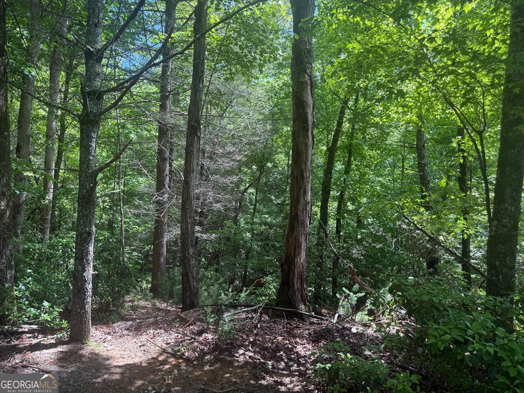 Lot 68 Hunters Path Ellijay, GA 30540 - Photo 1 of 1 Gallery Image 1